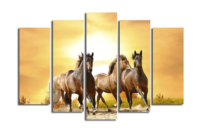 Canvasbilde 5-pk flerfarget - 11x96 cm - Innredning - Bilder & kunst - Lerretsbilder