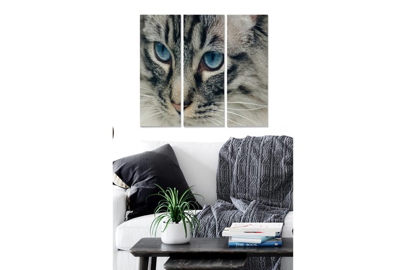 Canvasbilde Animal 3-pk flerfarget - 22x05 cm - Innredning - Bilder & kunst - Lerretsbilder