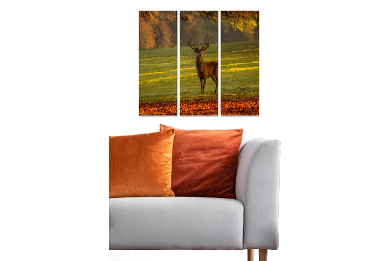 Canvasbilde Animal 3-pk flerfarget - 22x05 cm - Innredning - Bilder & kunst - Lerretsbilder