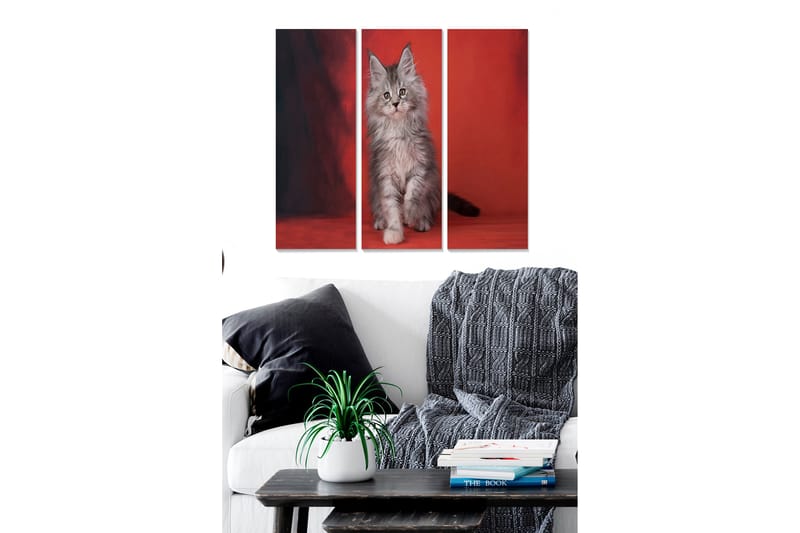 Canvasbilde Animal 3-pk flerfarget - 22x05 cm - Innredning - Bilder & kunst - Lerretsbilder