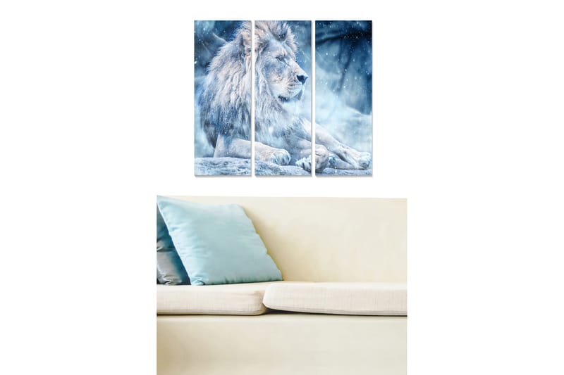 Canvasbilde Animal 3-pk flerfarget - 22x05 cm - Innredning - Bilder & kunst - Lerretsbilder