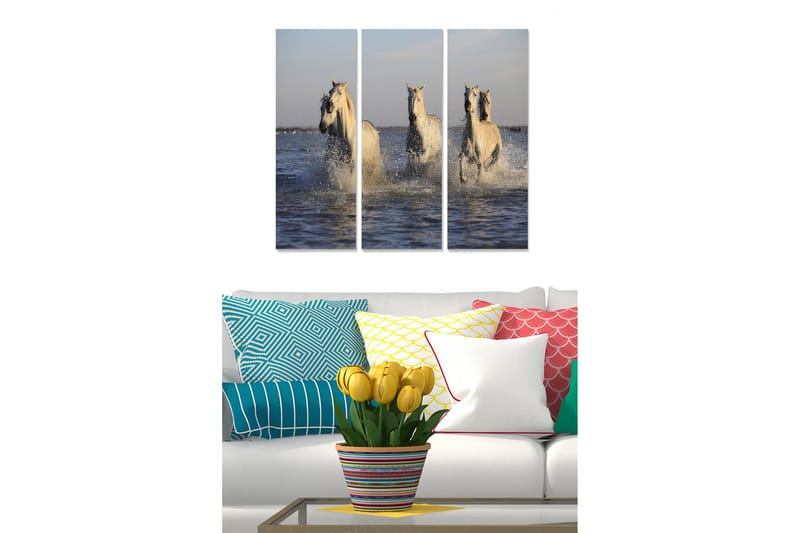 Canvasbilde Animal 3-pk flerfarget - 22x05 cm - Innredning - Bilder & kunst - Lerretsbilder