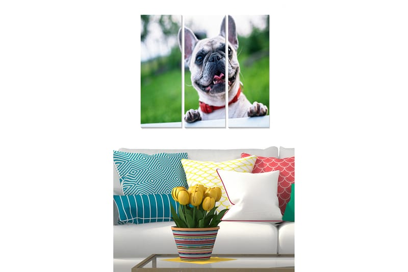 Canvasbilde Animal 3-pk flerfarget - 22x05 cm - Innredning - Bilder & kunst - Lerretsbilder