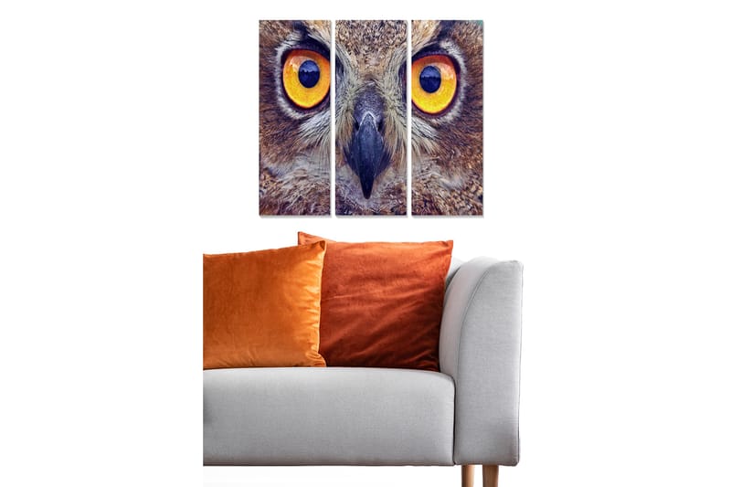 Canvasbilde Animal 3-pk flerfarget - 22x05 cm - Innredning - Bilder & kunst - Lerretsbilder