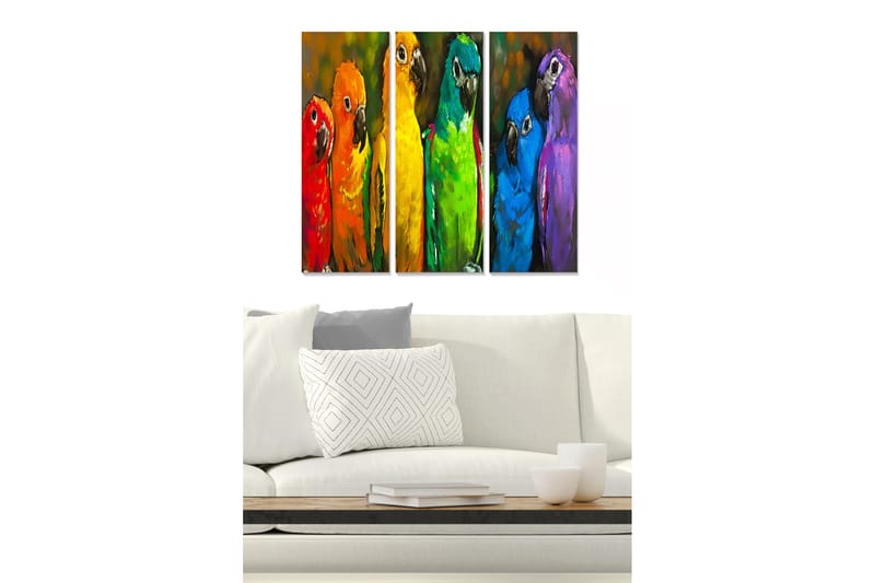 Canvasbilde Animal 3-pk flerfarget - 22x05 cm - Innredning - Bilder & kunst - Lerretsbilder