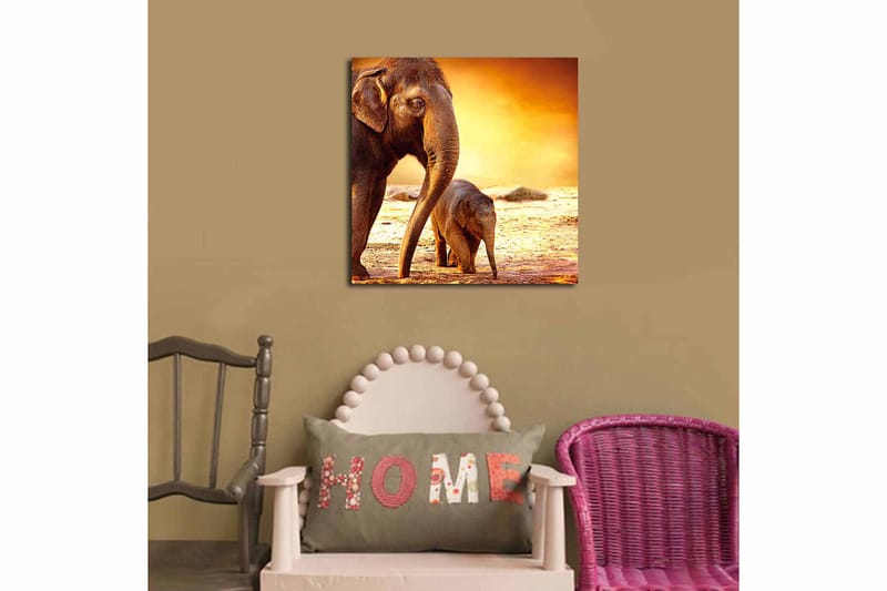 Canvasbilde Animal Flerfarget - 44x54 cm - Innredning - Bilder & kunst - Lerretsbilder