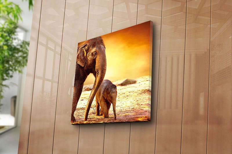 Canvasbilde Animal Flerfarget - 44x54 cm - Innredning - Bilder & kunst - Lerretsbilder