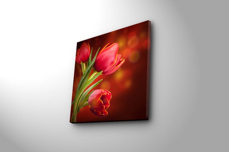 Canvasbilde Animal Flerfarget - 44x54 cm - Innredning - Bilder & kunst - Lerretsbilder