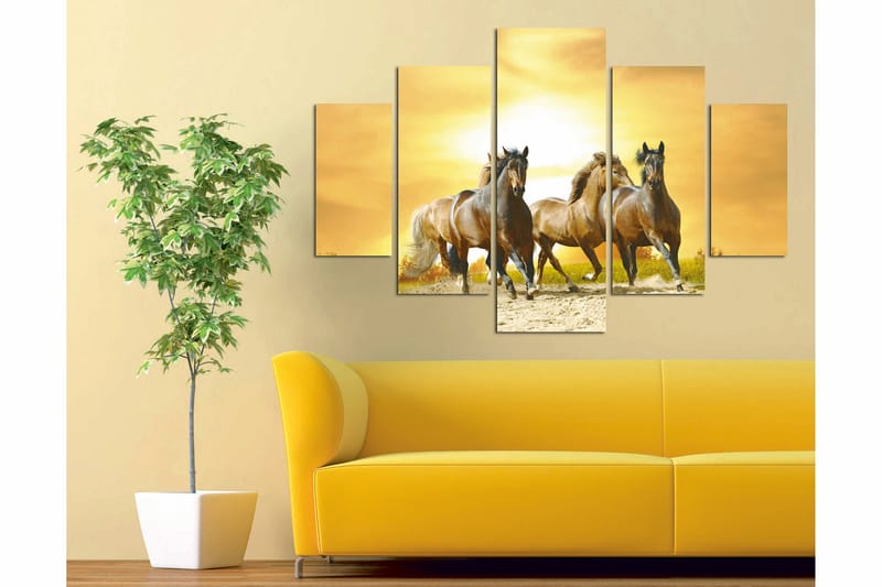 Canvasbilde Animals 5-pk Flerfarget - 55x62 cm - Innredning - Bilder & kunst - Lerretsbilder