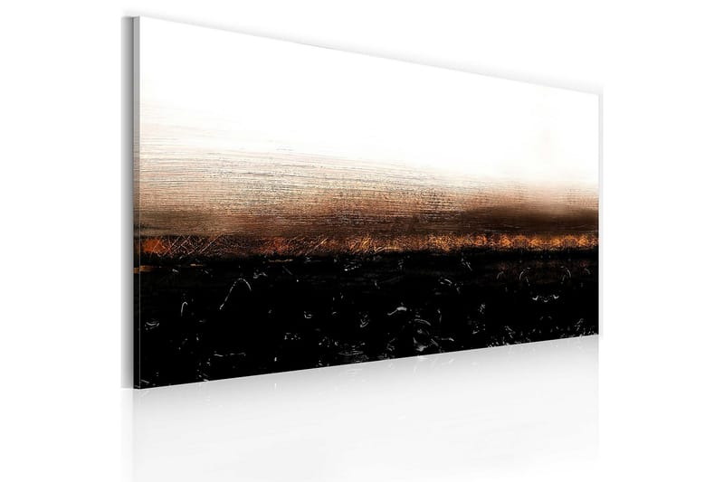 Canvasbilde Black soil 120x60 cm - Artgeist sp. z o. o. - Innredning - Bilder & kunst - Lerretsbilder