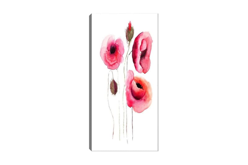 Canvasbilde DKY Floral & Botanical Flerfarget - 50x120 cm - Innredning - Bilder & kunst - Lerretsbilder