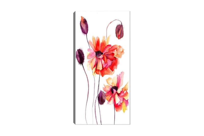 Canvasbilde DKY Floral & Botanical Flerfarget - 50x120 cm - Innredning - Bilder & kunst - Lerretsbilder