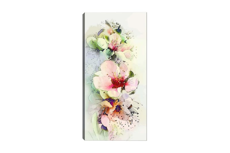 Canvasbilde DKY Floral & Botanical Flerfarget - 50x120 cm - Innredning - Bilder & kunst - Lerretsbilder