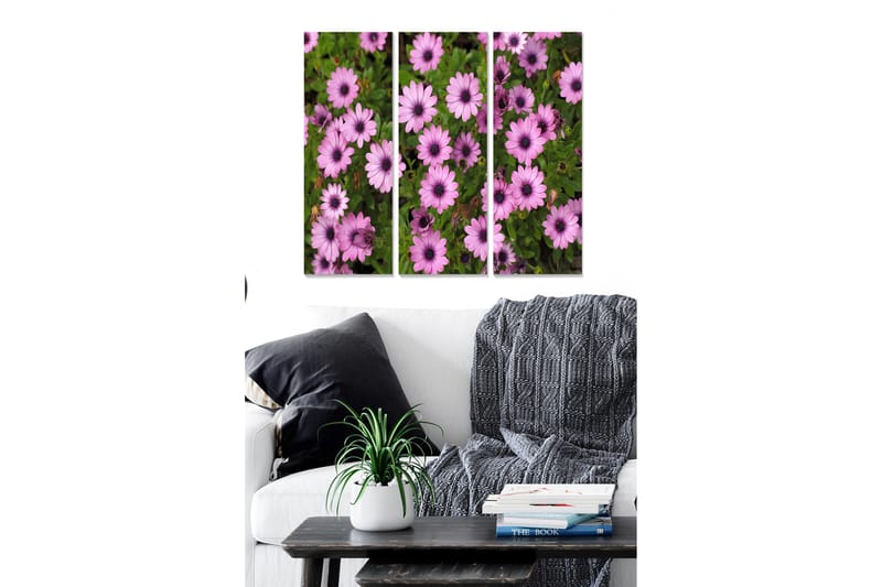 Canvasbilde Floral 3-pk flerfarget - 22x05 cm - Innredning - Bilder & kunst - Lerretsbilder