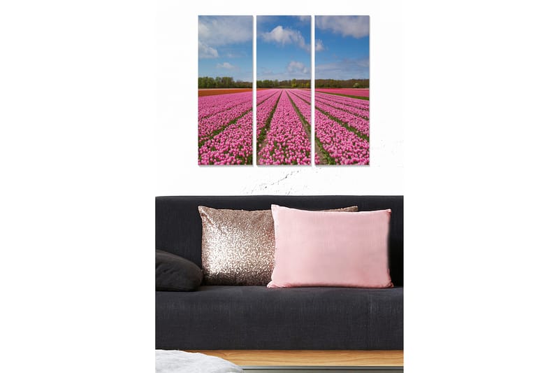 Canvasbilde Floral 3-pk flerfarget - 22x05 cm - Innredning - Bilder & kunst - Lerretsbilder