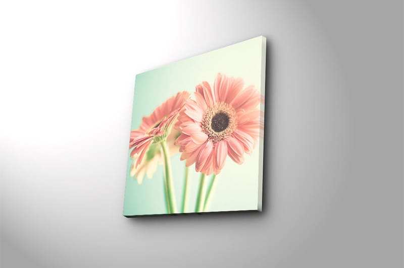 Canvasbilde Floral Flerfarget - 44x54 cm - Innredning - Bilder & kunst - Lerretsbilder