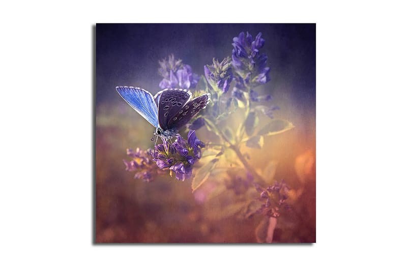 Canvasbilde Floral Flerfarget - 44x54 cm - Innredning - Bilder & kunst - Lerretsbilder