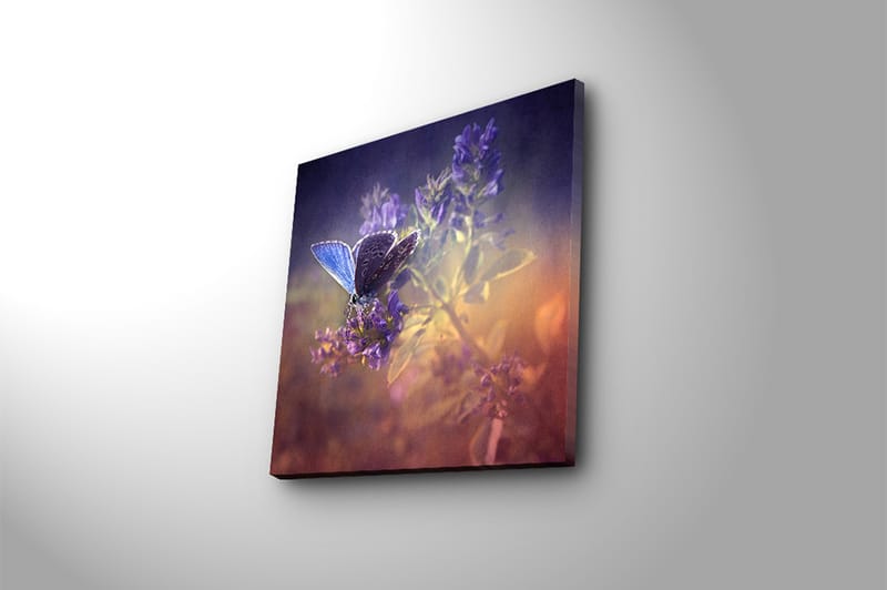 Canvasbilde Floral Flerfarget - 44x54 cm - Innredning - Bilder & kunst - Lerretsbilder