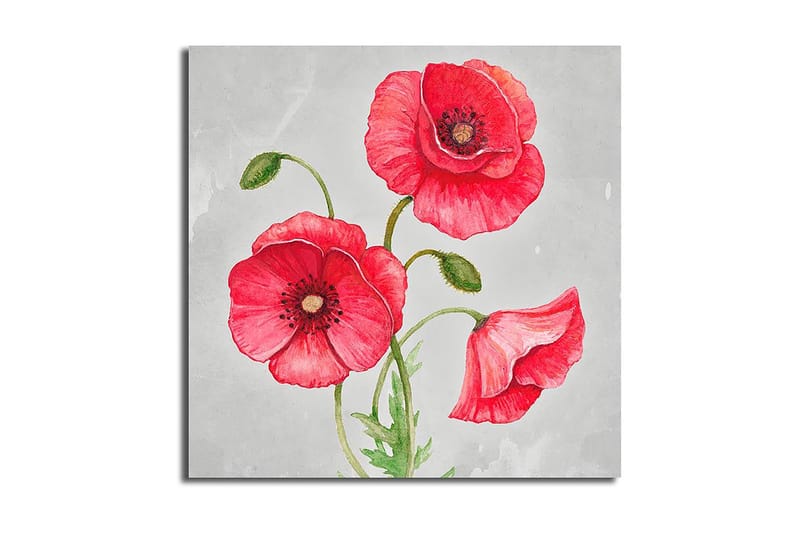 Canvasbilde Floral Flerfarget - 44x54 cm - Innredning - Bilder & kunst - Lerretsbilder