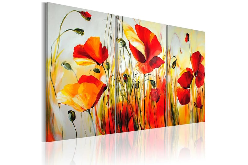 Canvasbilde Rød eng 120x80 cm - Artgeist sp. z o. o. - Innredning - Bilder & kunst - Lerretsbilder