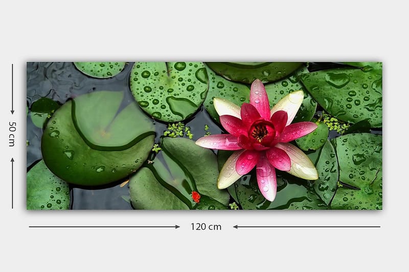 Canvasbilde YTY Floral & Botanical Flerfarget - 120x50 cm - Lerretsbilder