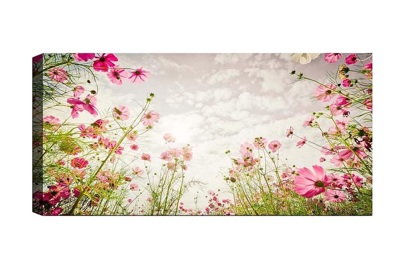 Canvasbilde YTY Floral & Botanical Flerfarget - 120x50 cm - Innredning - Bilder & kunst - Lerretsbilder