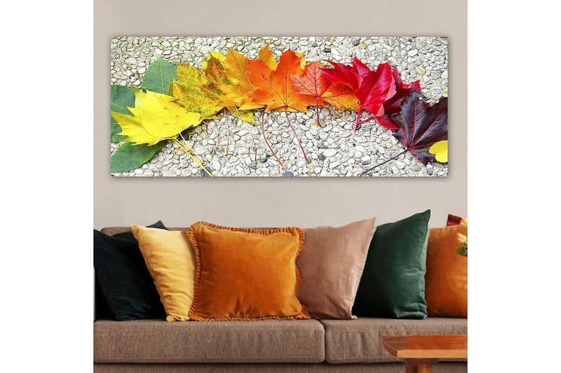 Canvasbilde YTY Floral & Botanical Flerfarget - 120x50 cm - Innredning - Bilder & kunst - Lerretsbilder