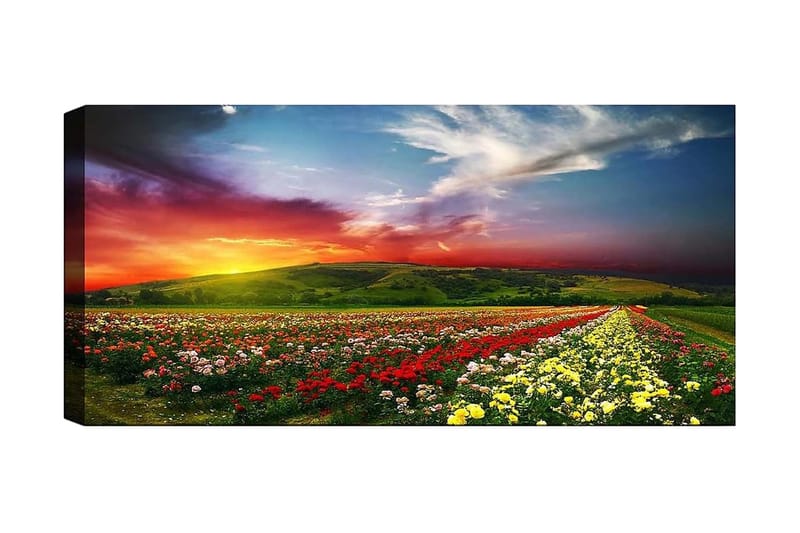 Canvasbilde YTY Floral & Botanical Flerfarget - 120x50 cm - Innredning - Bilder & kunst - Lerretsbilder