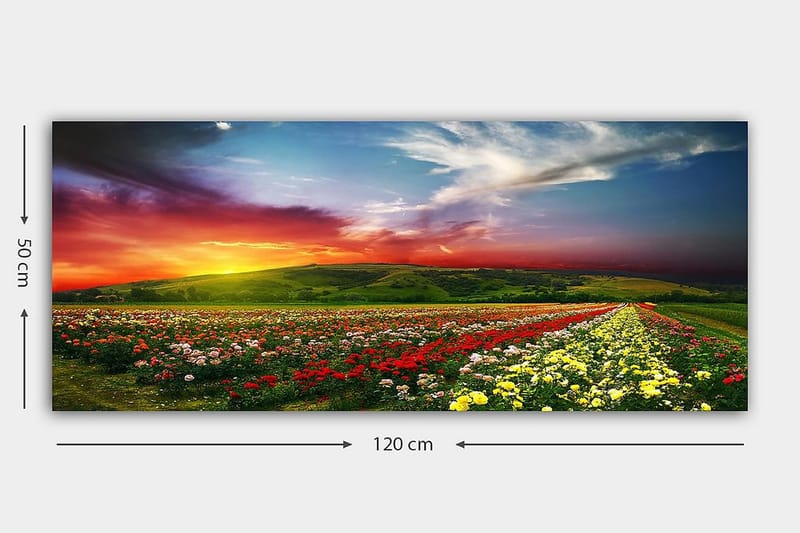 Canvasbilde YTY Floral & Botanical Flerfarget - 120x50 cm - Innredning - Bilder & kunst - Lerretsbilder