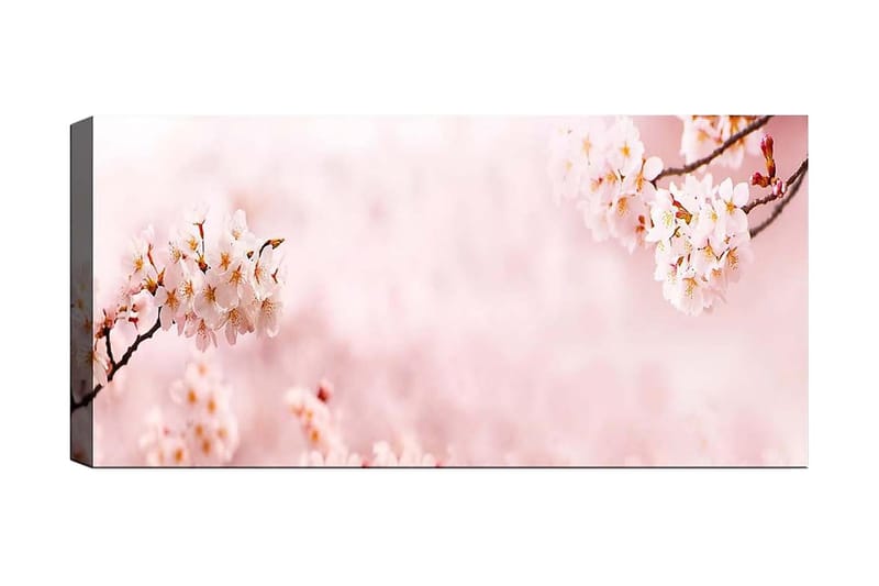 Canvasbilde YTY Floral & Botanical Flerfarget - 120x50 cm - Innredning - Bilder & kunst - Lerretsbilder