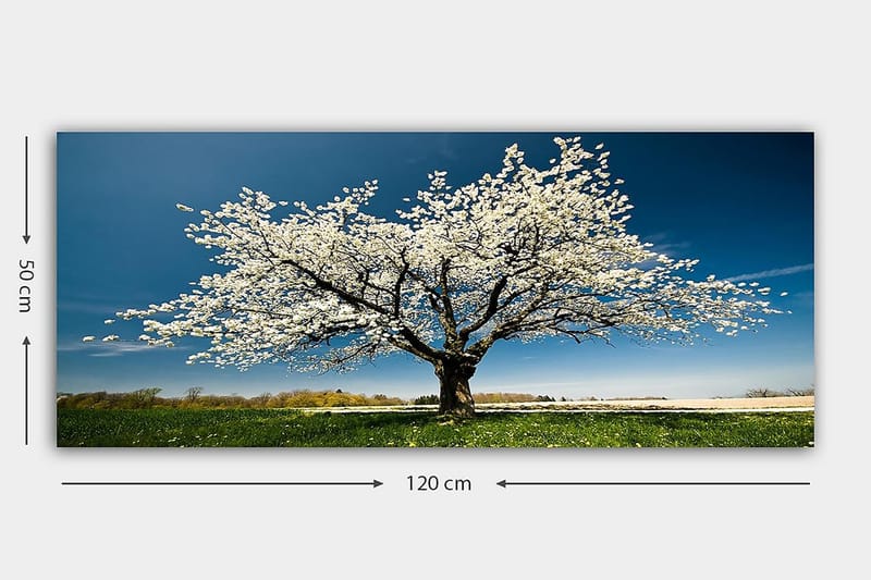 Canvasbilde YTY Landscape & Nature Flerfarget - 120x50 cm - Innredning - Bilder & kunst - Lerretsbilder