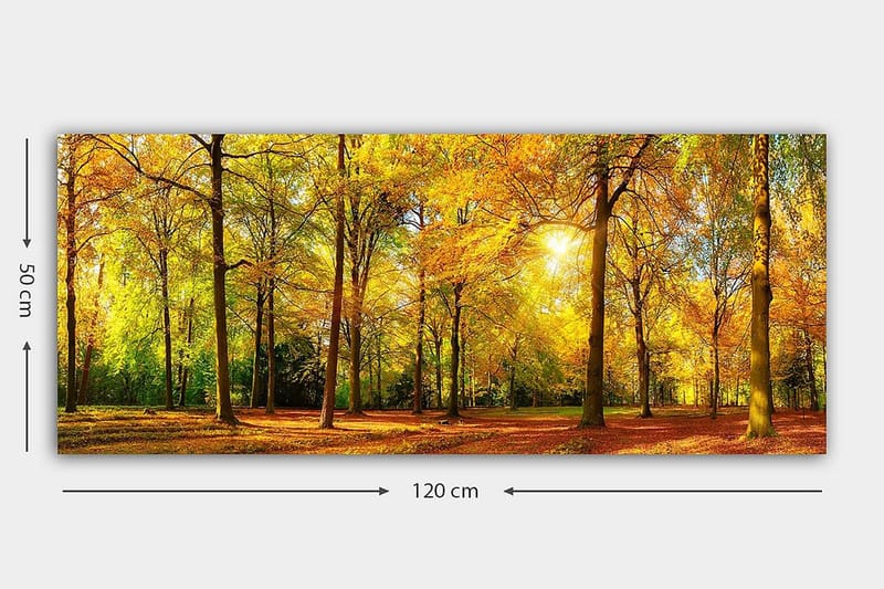 Canvasbilde YTY Landscape & Nature Flerfarget - 120x50 cm - Innredning - Bilder & kunst - Lerretsbilder