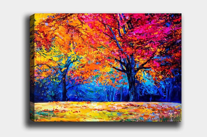 Decorative Canvas Painting 70x100 - Innredning - Bilder & kunst - Lerretsbilder