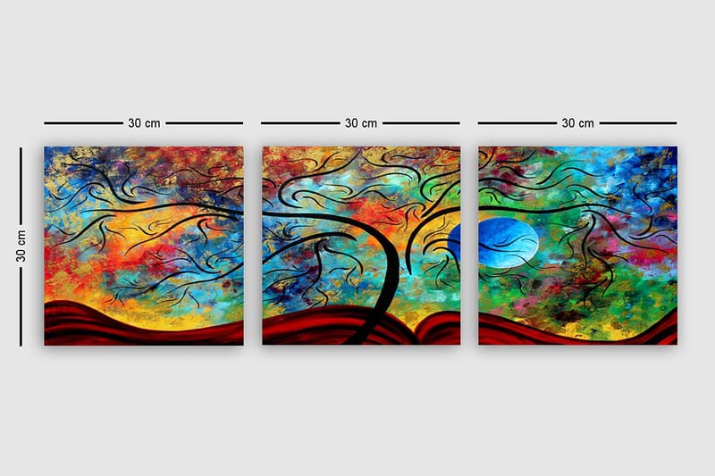 Decorative Canvas Painting (3 Pieces) 30x30 - Innredning - Bilder & kunst - Lerretsbilder