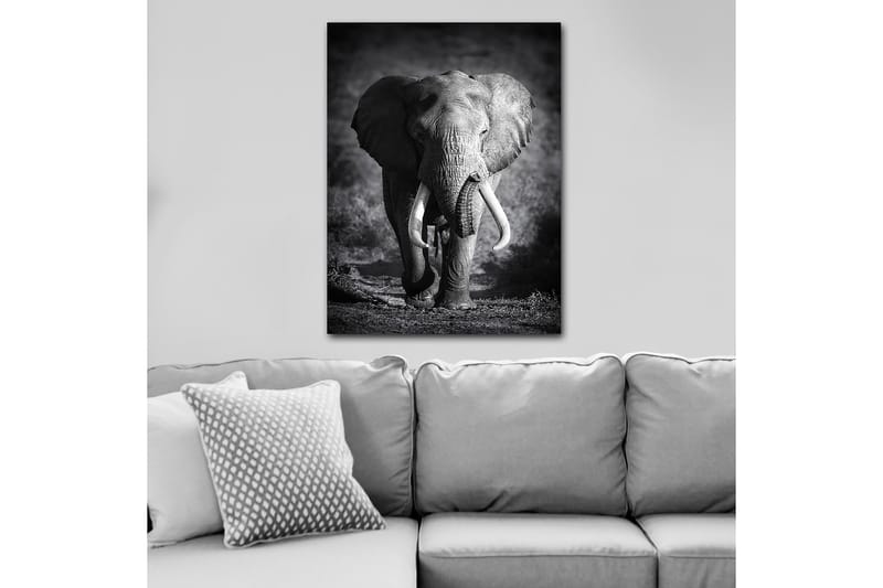 Decorative Canvas Painting 70x100 - Innredning - Bilder & kunst - Lerretsbilder