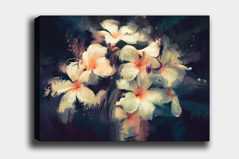 Decorative Canvas Painting 70x100 - Innredning - Bilder & kunst - Lerretsbilder