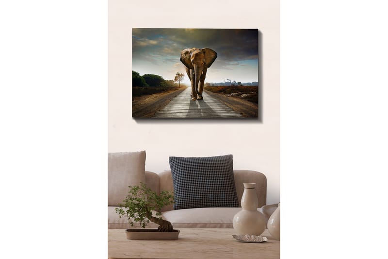 Decorative Canvas Painting 70x100 - Innredning - Bilder & kunst - Lerretsbilder