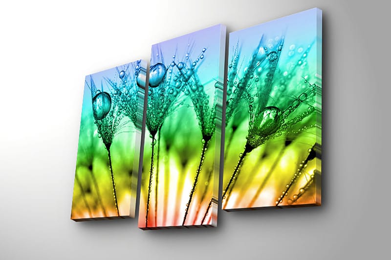 Dekorativ Canvasbilde 3-Deler 45x20 cm - Flerfarget - Innredning - Bilder & kunst - Lerretsbilder