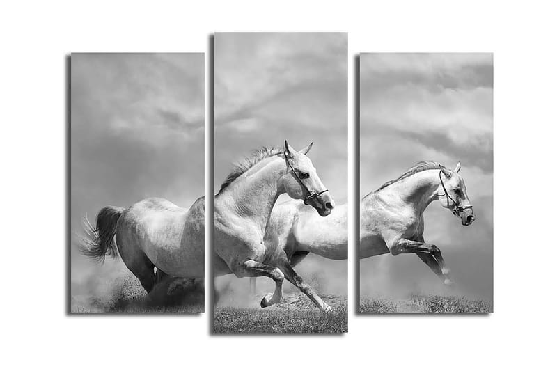 Dekorativ Canvasbilde 3-Deler 45x20 cm - Flerfarget - Innredning - Bilder & kunst - Lerretsbilder