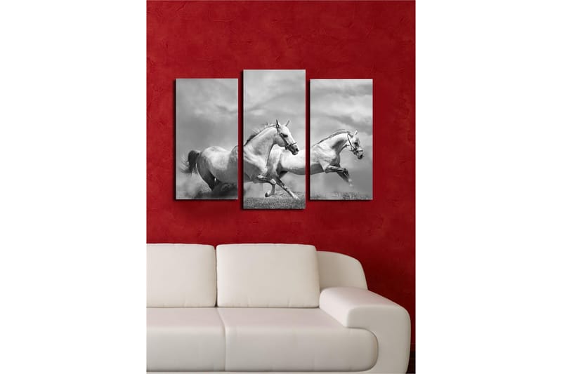 Dekorativ Canvasbilde 3-Deler 45x20 cm - Flerfarget - Innredning - Bilder & kunst - Lerretsbilder