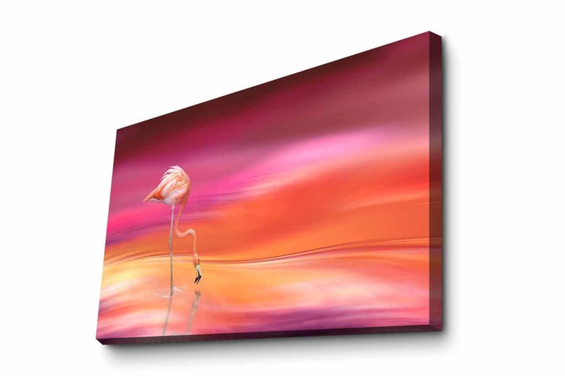 Dekorativ Canvasbilde 45x70 cm - Flerfarget - Innredning - Bilder & kunst - Lerretsbilder