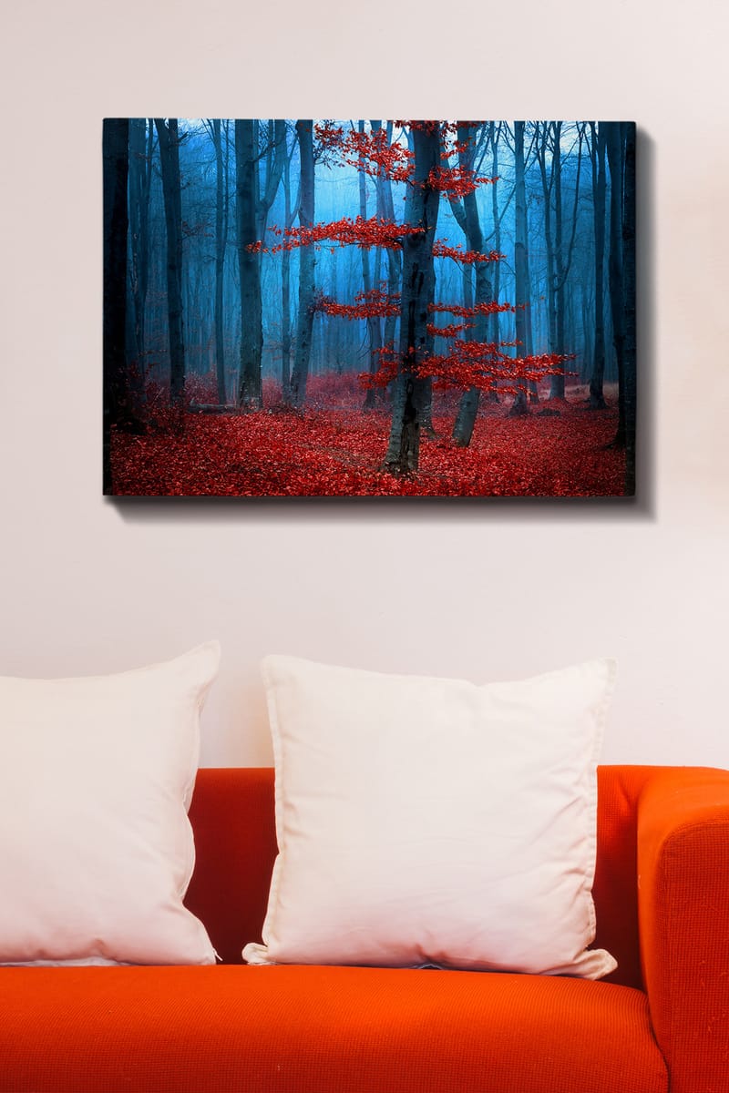 Dekorativ Canvasbilde 70x100 cm - Flerfarget - Innredning - Bilder & kunst - Lerretsbilder