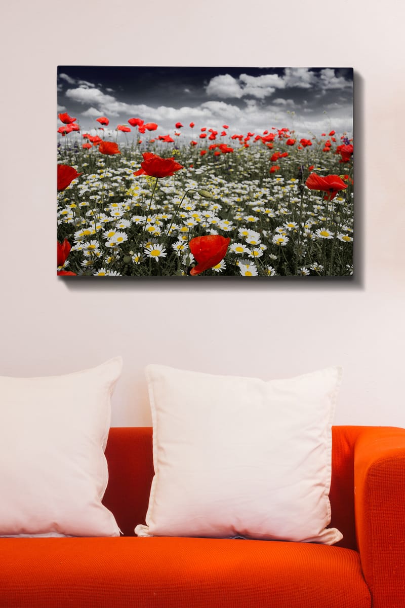 Dekorativ Canvasbilde 70x100 cm - Flerfarget - Innredning - Bilder & kunst - Lerretsbilder