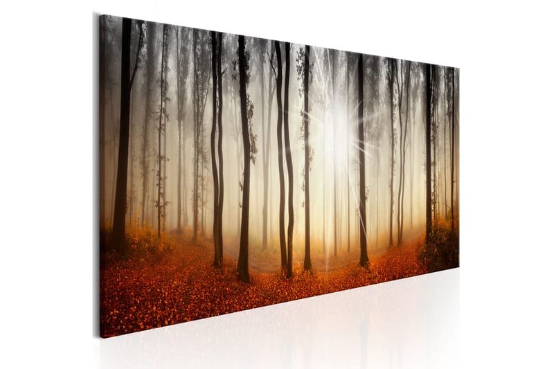 Tavle Autumnal Fog 120X40 - Artgeist sp. z o. o. - Innredning - Bilder & kunst - Lerretsbilder