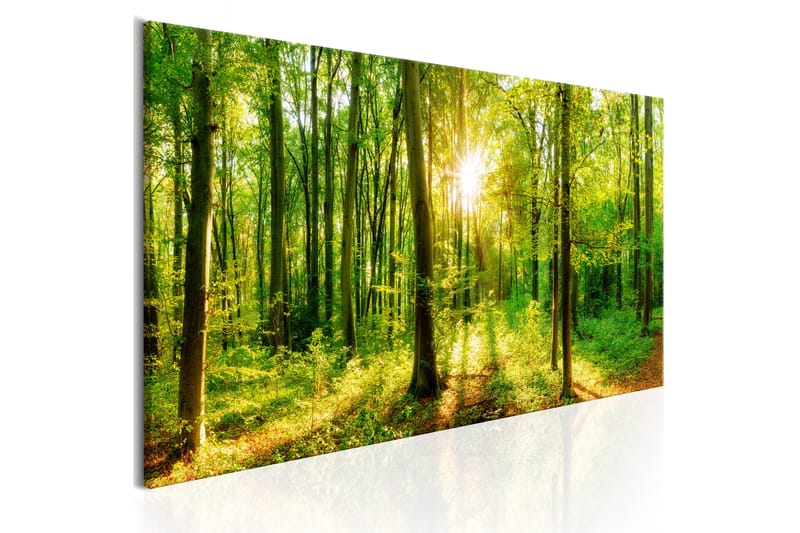 Tavle Green Magic 120X40 - Artgeist sp. z o. o. - Innredning - Bilder & kunst - Lerretsbilder