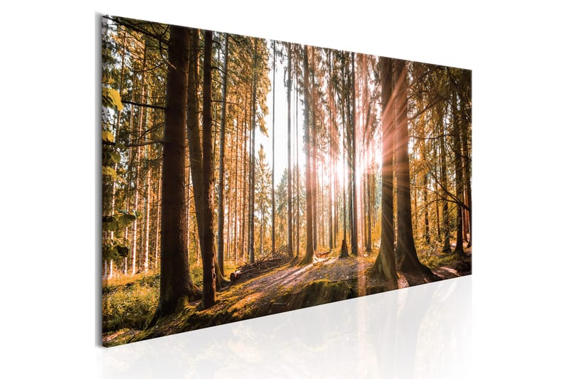 Tavle Small Natural Wonders 120X40 - Artgeist sp. z o. o. - Innredning - Bilder & kunst - Lerretsbilder