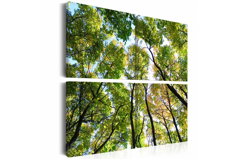 Tavle Treetops 60X60 - Artgeist sp. z o. o. - Innredning - Bilder & kunst - Lerretsbilder