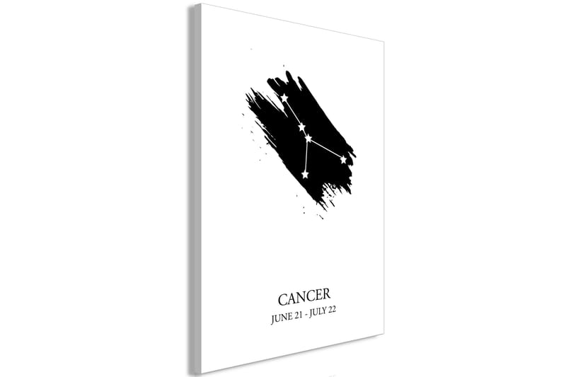 Tavle Zodiac Signs: Cancer (1 Part) Vertical 60X90 - Artgeist sp. z o. o. - Innredning - Bilder & kunst - Lerretsbilder