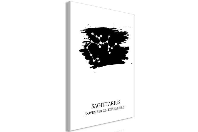 Tavle Zodiac Signs: Sagittarius (1 Part) Vertical 40X60 - Artgeist sp. z o. o. - Innredning - Bilder & kunst - Lerretsbilder