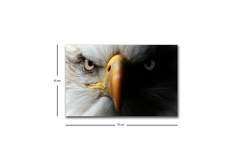 Veggdekorasjon LED-belysning Canvas Bilde - Innredning - Bilder & kunst - Lerretsbilder